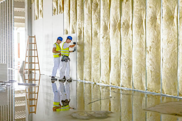 Best Specialized Insulation Services in Redfield, SD